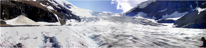 Columbia Icefields Panorama